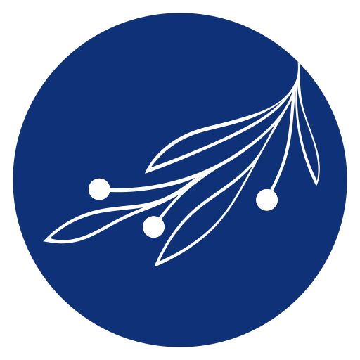 favicon 1